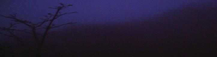 header