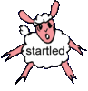 startled