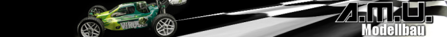 Ansmann Racing Ansmann Racing
