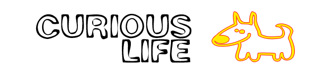 header