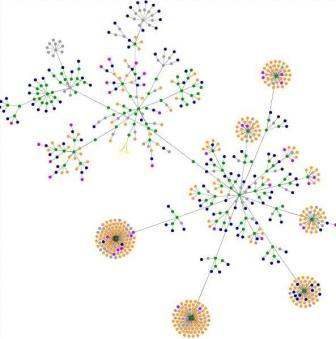 graph1