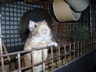 mo