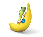 chiquita-frosch-intro.jpg