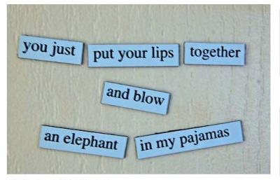 elephant