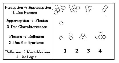 4phasen1
