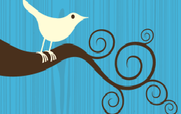 twitter