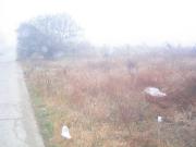 Junkbrache3