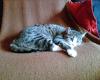 Bild024