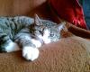 Bild026