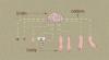 The Brain as Told by BBC's Look Around You