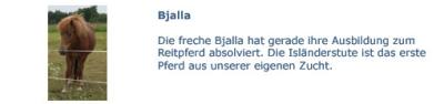 Bjalla