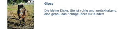 Gipsy