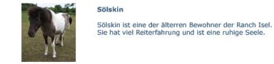 Soelskin