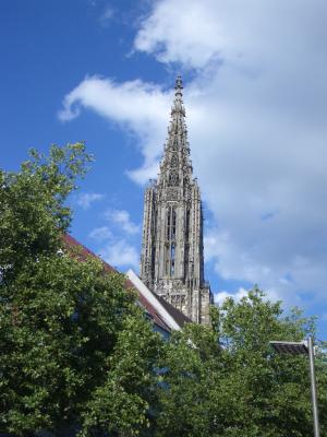 IMGP0911