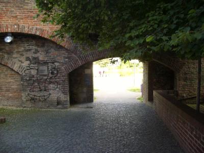 IMGP0922