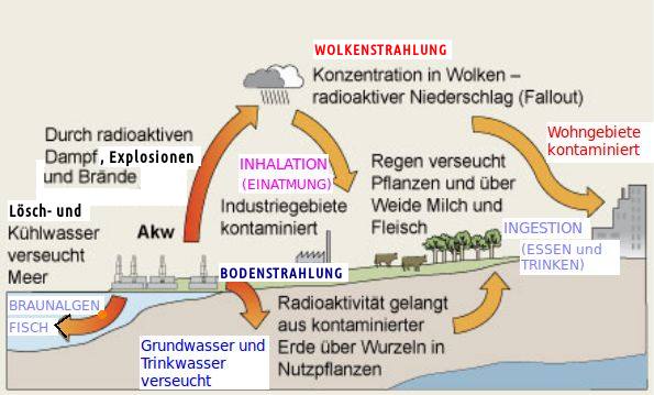 Fuk_Ausbreitung1