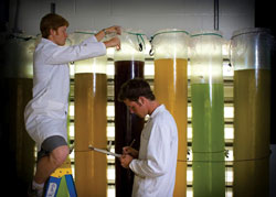 NSAC_testing