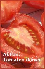 Aktion: Tomaten dörren Aktion: Tomaten dörren