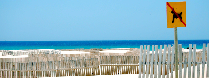 header
