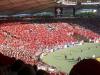 fankurve-