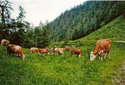 Scannen0025