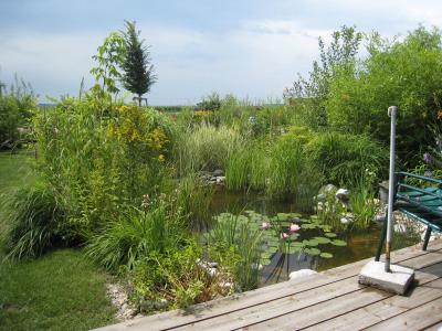 garten1
