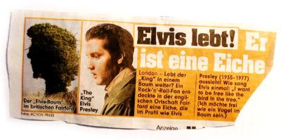 elvis