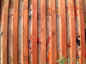 holz