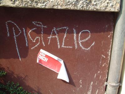 pistazie