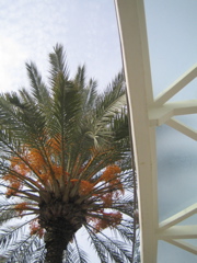 pordetail2