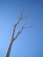 strecke8