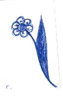 blume
