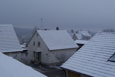 pic1