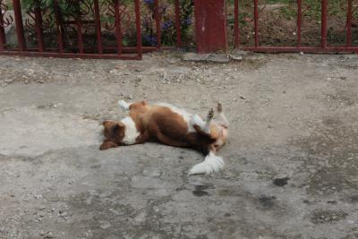 Photo-008