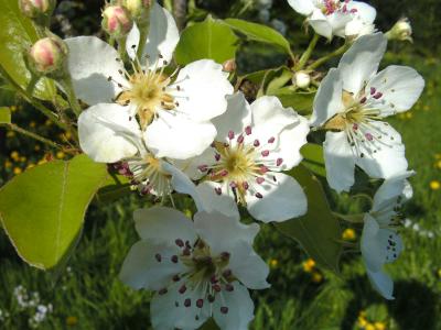 BILD0173