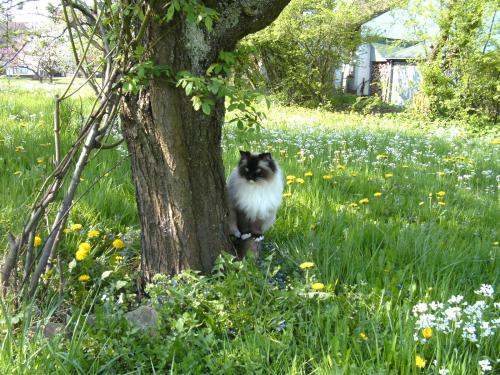 BILD01831