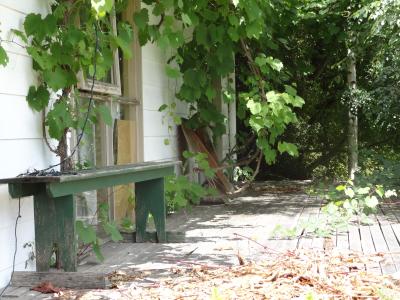 DSC00711
