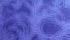 eisblume