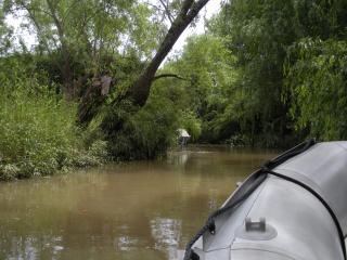 Tigre-Delta