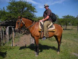 armes-Pferd