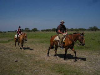 beim-reiten
