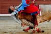 Gustavo Cuevas aus Spanien belegte mit seiner Aufnahme aus der Stierkampfaren in Las Ventas den zweiten Platz in dieser Kategorie