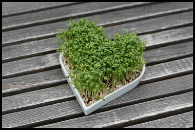 856440007_4ae112747a