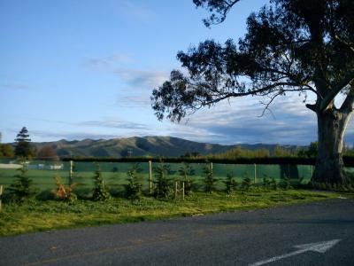 on-the-way-to-Blenheim-27