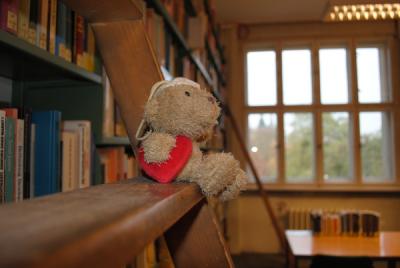 bibliotheksbaer