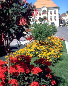 Hier bin ich zu hause