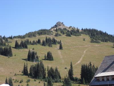 CIMG0351