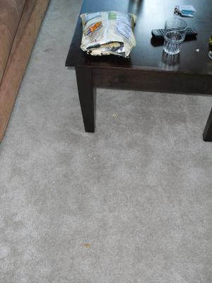 The day after...