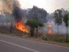 bushfire