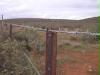 dogfence